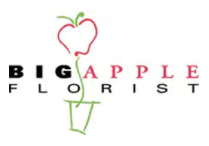 Image Logo